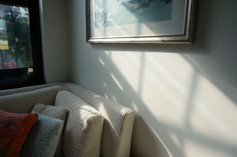 The Quiet Room: How New York's Most Considered Dwellers Are Building Sanctuaries of Sound